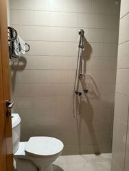 Ardmore Park (D10), Condominium #507464791